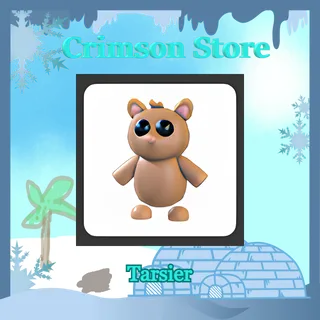 Tarsier #1