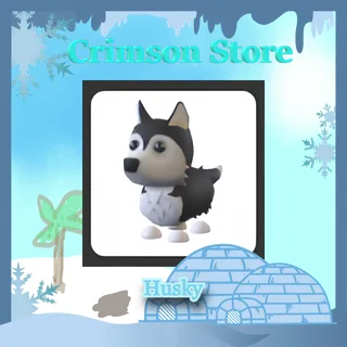 Husky #1