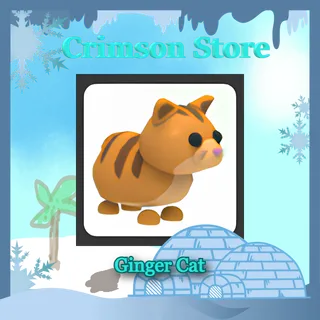 x4 Ginger Cat #1