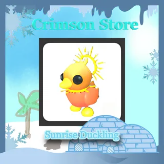 Sunrise Duckling