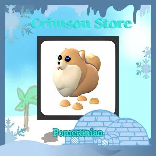 Pomeranian