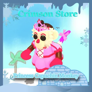 Princess Capuchin Monkey #1