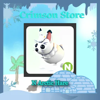 N Arctic Hare