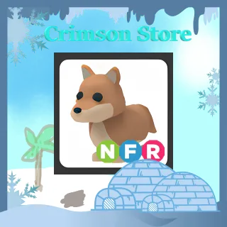 NFR Dingo