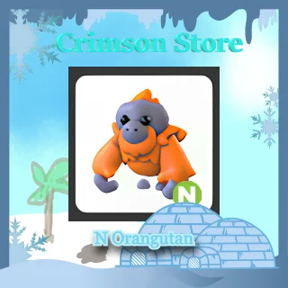 N Orangutan