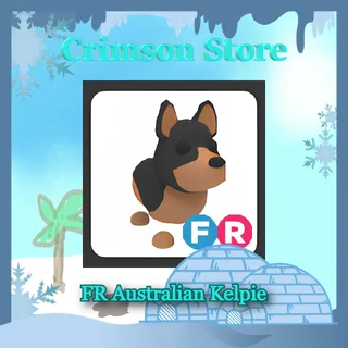 FR Australian Kelpie #1