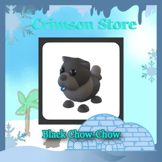 Black Chow-Chow