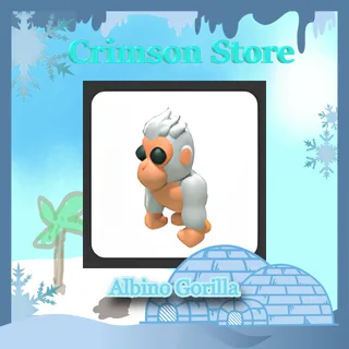 Albino Gorilla