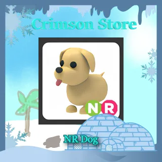 NR Dog