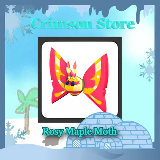 Rosy Maple Moth