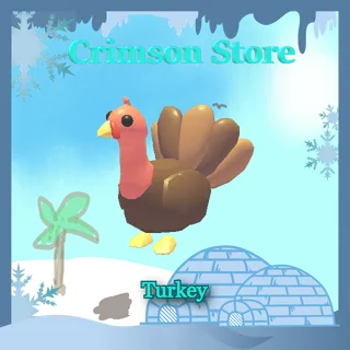 Turkey #1