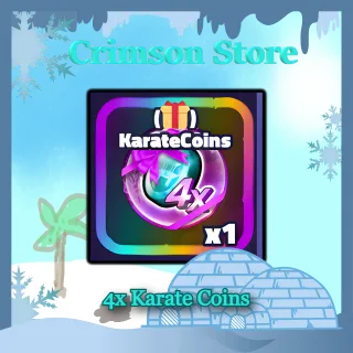 4x Karate Coins