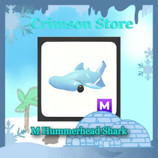 M Hammerhead Shark