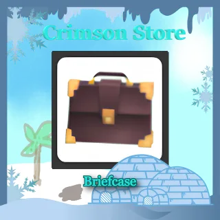 Briefcase