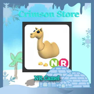 NR Camel #1