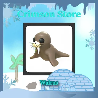 x4 Walrus #1