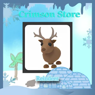 Reindeer #1
