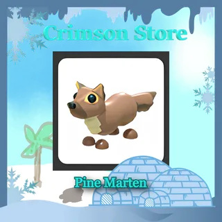 x4 Pine Marten  #1