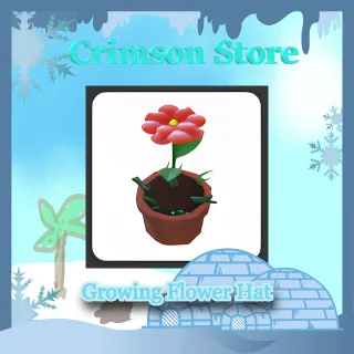 Growing Flower Hat