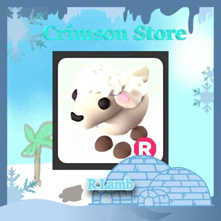 R Lamb #1