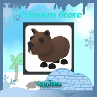 Capybara #1