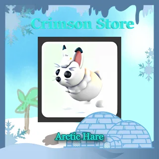 x2 Arctic Hare