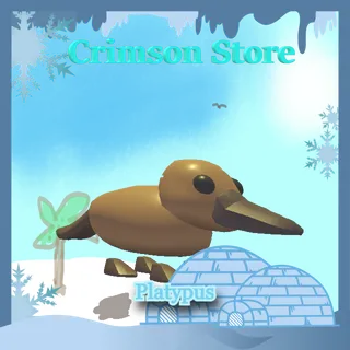 Platypus #1