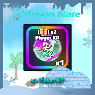x2 Player XP