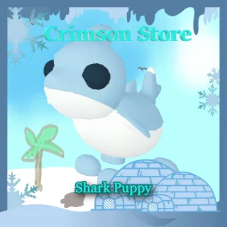 Shark Puppy