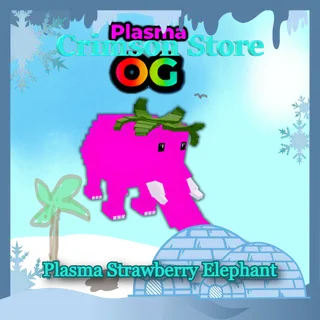11 Plasma Strawberry Elephant