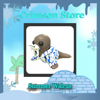 Summer Walrus