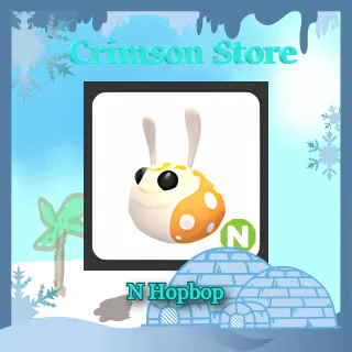 N Hopbop