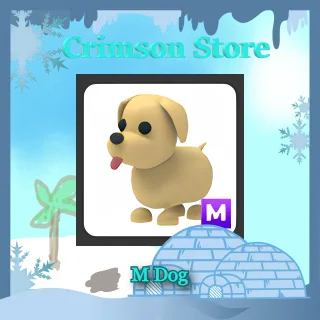 M Dog