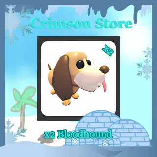 x2 Bloodhound