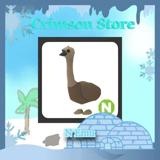 N Emu #1