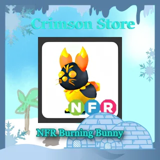 NFR Burning Bunny #1