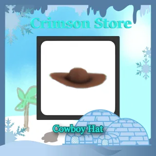 Cowboy Hat