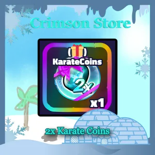 2x Karate Coins
