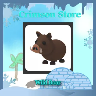 Wild Boar #1
