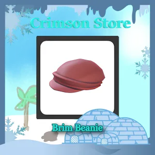 Brim Beanie