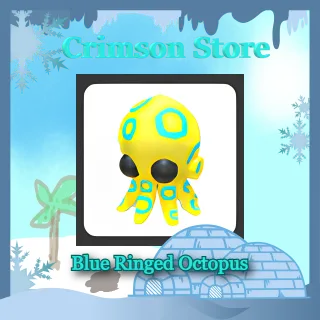 Blue Ringed Octopus