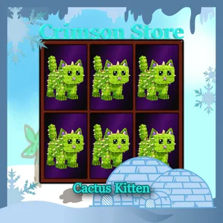 10 Cactus Kitten (Description)