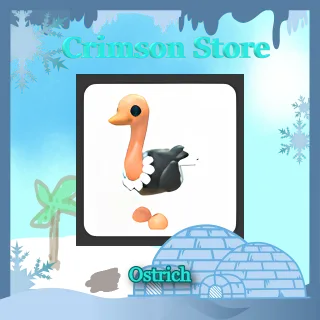 Ostrich