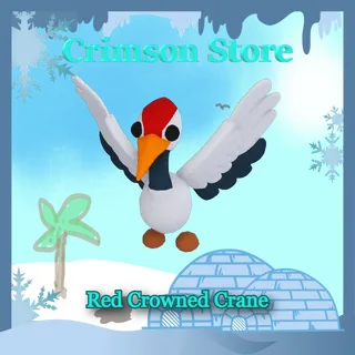 x4 Red Crowned Crane #1