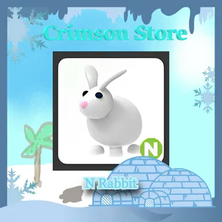 N Rabbit #1