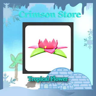 Tropical Flower