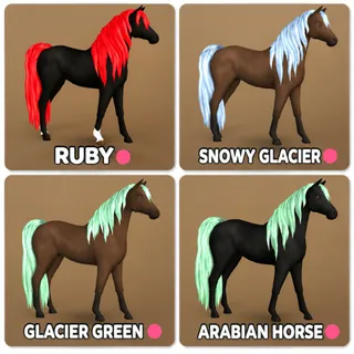 4 Island Unique Hair Arabian Horse