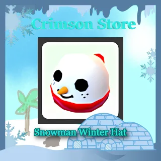 Snowman Winter Hat