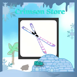 Skis