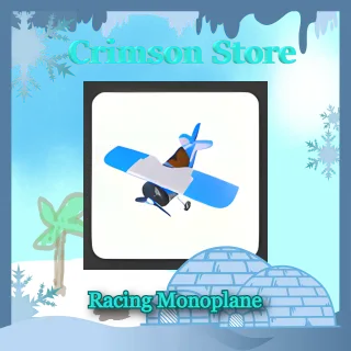 Racing Monoplane